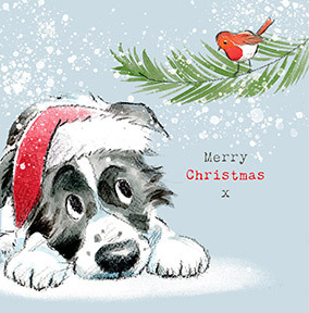 Merry Christmas Sheep Dog Card