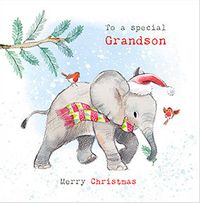Tap to view Special Grandson Elephant Christmas Card