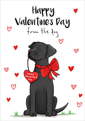 Valentine's Day From the Dog Card