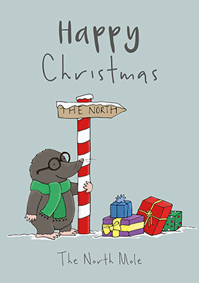 The North Mole Christmas Card