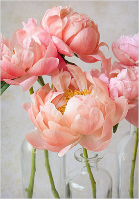 Soft Pink Peonies Card