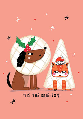 Tis the Brie-son Christmas Card