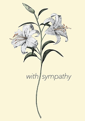 Sympathy Lily Card