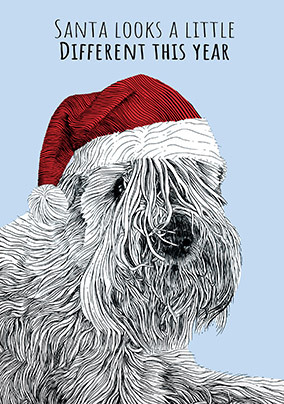 Santa Paws Looks Different Christmas Card