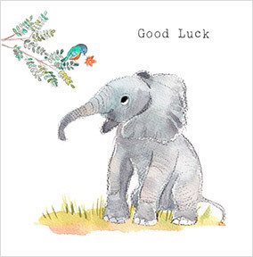 Good Luck Cute Elephant Card