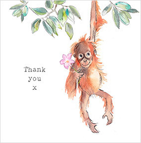 Thank You Baby Orangutan Card