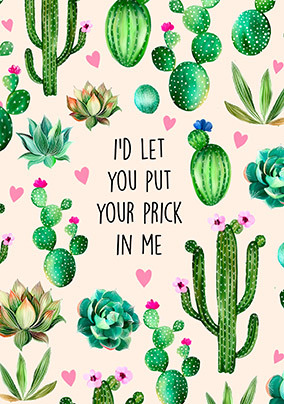 Let You Put Your Prick Valentine's Day Card