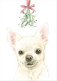 Tap to view Chihuahua Christmas Card