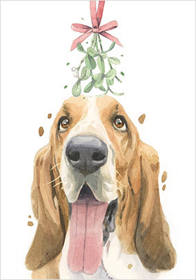 Basset Hound Christmas Card