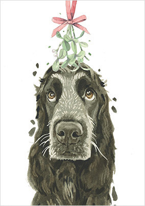 English Cocker Spaniel Christmas Card