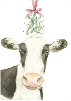 Cow Christmas Card