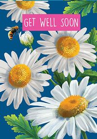 Tap to view Get Well Soon Daisies Card