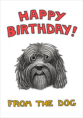 Black Cockapoo Birthday Card