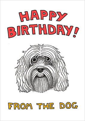 White Cockapoo Birthday Card