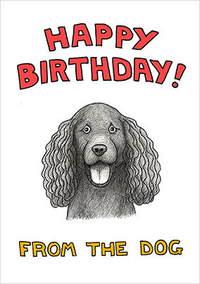 Dark Spaniel Birthday Card