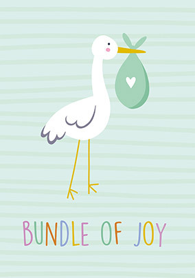 Stork Bundle Of Joy New Baby Card