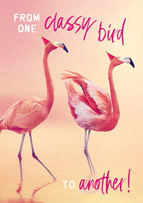 Classy Bird Flamingo Birthday Card