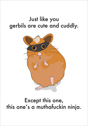 Ninja Gerbil Birthday Card