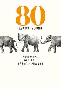 Tap to view Age Is Irrelephant 80th Birthday Car