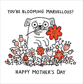 You're Blooming Marvellous Mother's Day Card