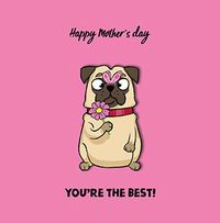 Tap to view You're The Best Cute Pug Mother's Day Card