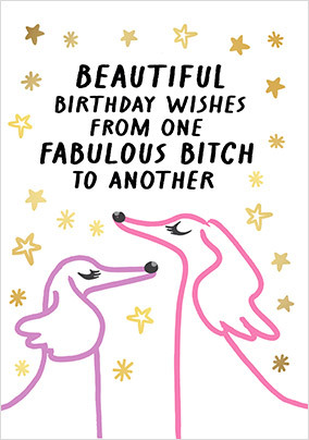 From One Fabulous B*tch To Another Birthday Card