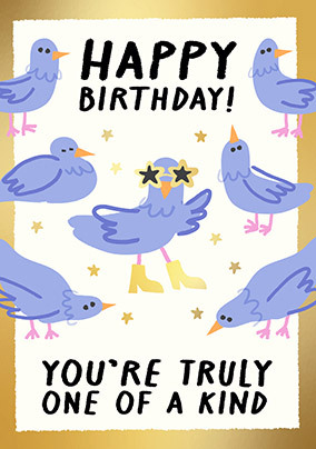 One Of A Kind Pigeon Birthday Card