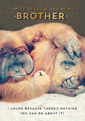 I Smile Because You're My Brother Birthday Card