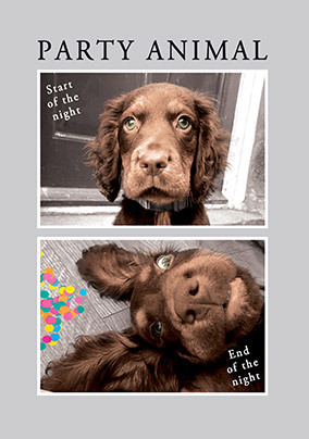 Party Animal Dog Birthday Card