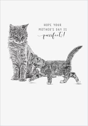 Purrfect Mother's Day Card