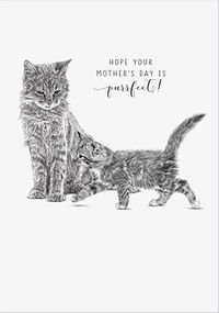 Tap to view Purrfect Mother's Day Card