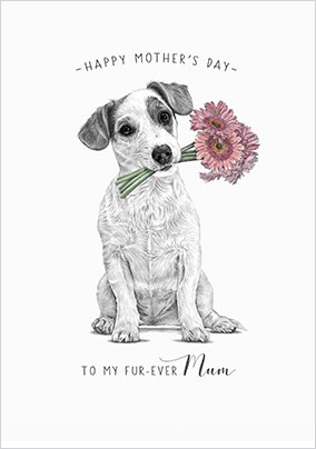 Fur-Ever Mum Mother's Day Card