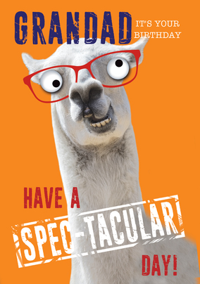 Grandad Spec-tacular Birthday Llama Card