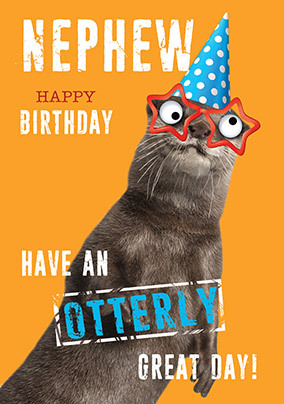 Have an Otterly Great Day Nephew Birthday Card