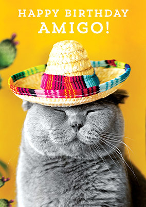 Happy Birthday Amigo Card