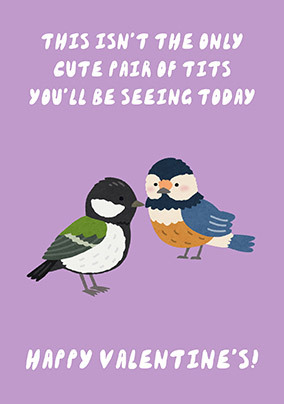 Cute Tits Valentine's Day Card