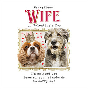 Lowered Your Standards Wife Valentine's Day Square Card