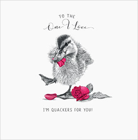 Quackers About You Valentine's Day Square Card