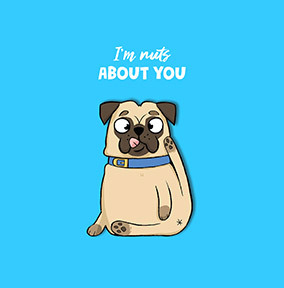 Nuts About You Pug Square Valentine's Day Card