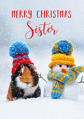 Guinea Pig Christmas Card for Sister