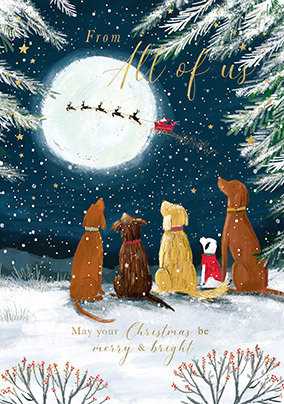 Illustrated Dogs From all of Us Christmas Card