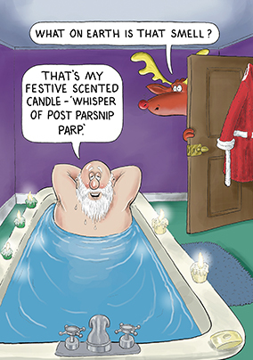 Santa & Co Bathtime Christmas Card