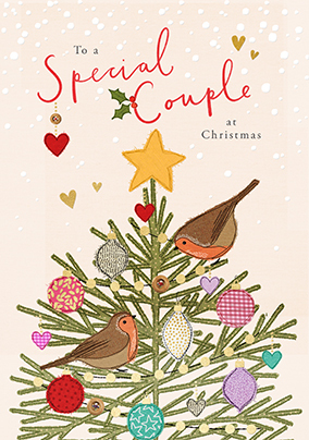 To a Special Couple at Christmas Robins Card