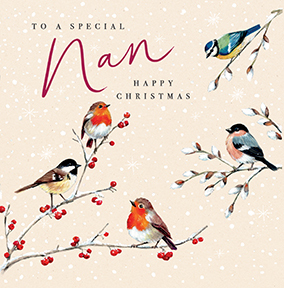 Special Nan Christmas Robins Card