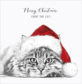 From The Cat Square Christmas Card