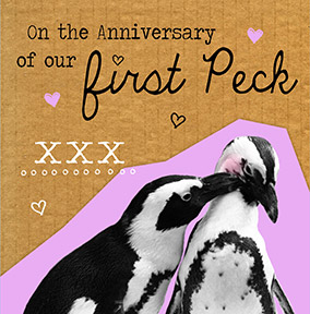Our First Peck Anniversary Card