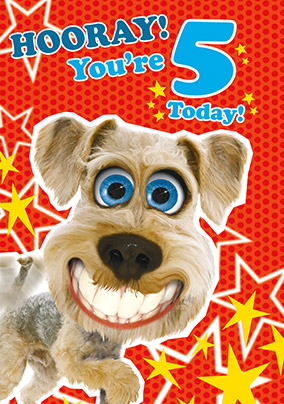 5th Birthday Card - Dog's Whiskers