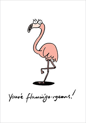 You're Flamingo-rgeous Valentine Card