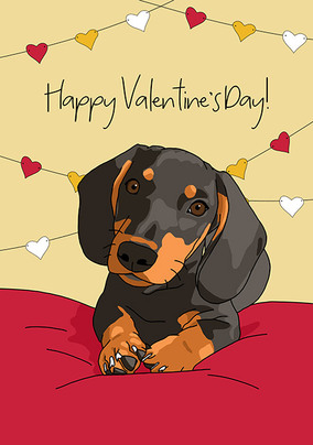 Valentine's Day Dachshund Card