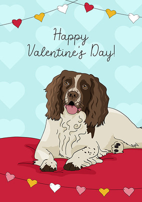 Valentine's Day Spaniel Card